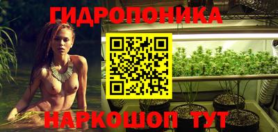стафф Краснодар