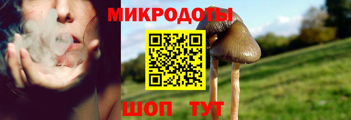 Псилоцибиновые грибы GOLDEN TEACHER Сызрань